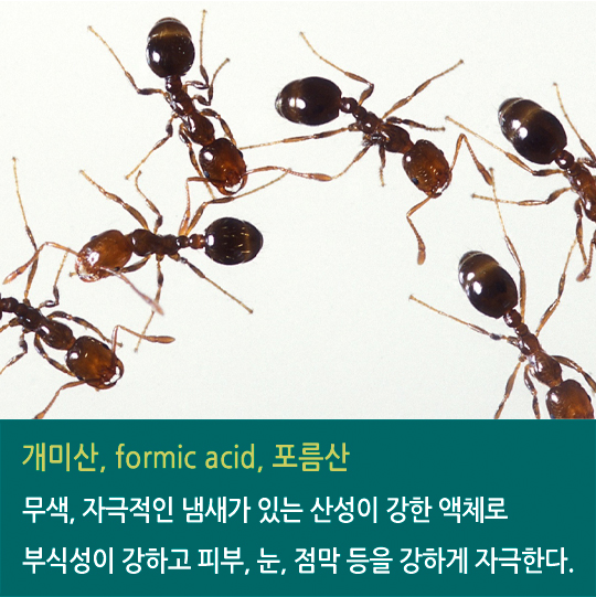 개미산